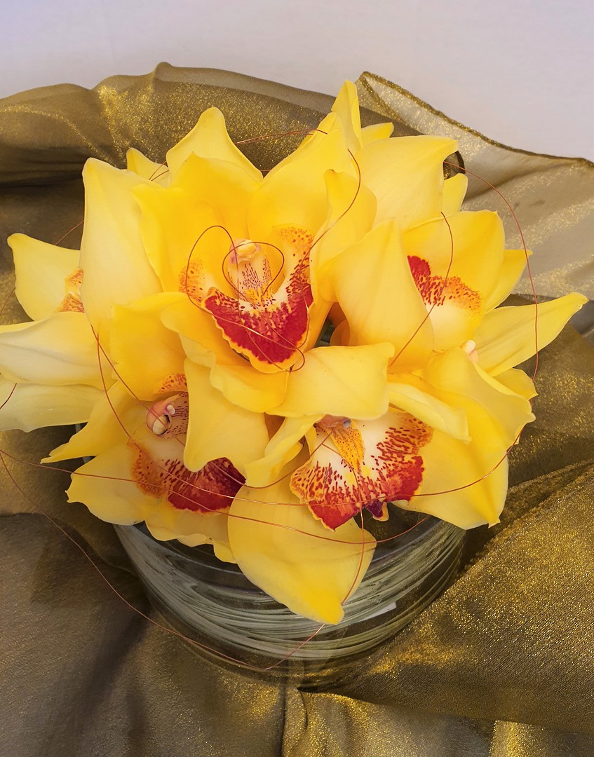 A gathering of Orchid Blooms in Glass image 0